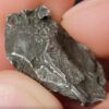 Campo del Cielo Meteorite - Image 3