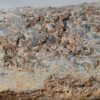 Dinosaur Bone #5 - Image 6