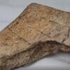 Dinosaur Bone #5 - Image 5