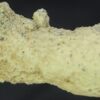 Fulgurite - Image 7