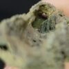 Fulgurite - Image 6
