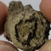Fulgurite - Image 3