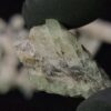 Pollucite - Image 4